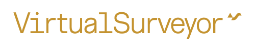 Virtual Surveyor